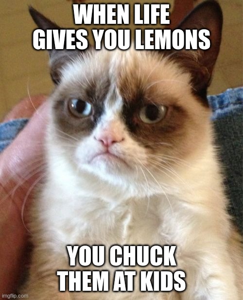 Grumpy Cat Meme | WHEN LIFE GIVES YOU LEMONS; YOU CHUCK THEM AT KIDS | image tagged in memes,grumpy cat | made w/ Imgflip meme maker