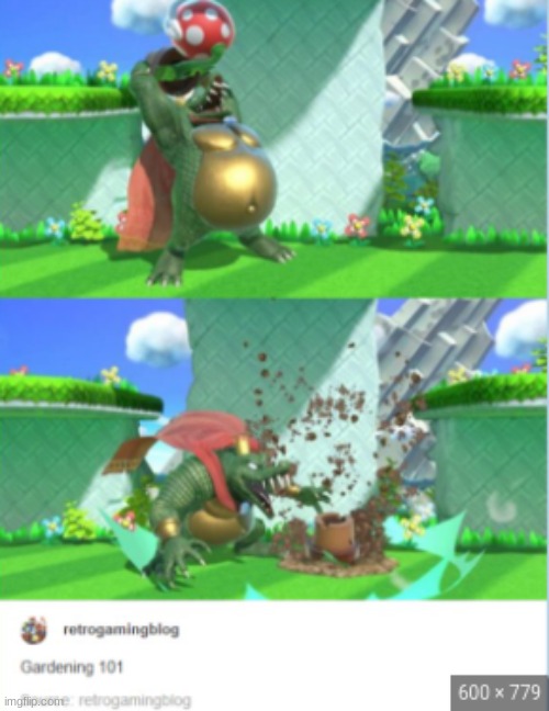 this is not mine, found it online | image tagged in gardening,smash ultimate dlc fighter profile | made w/ Imgflip meme maker
