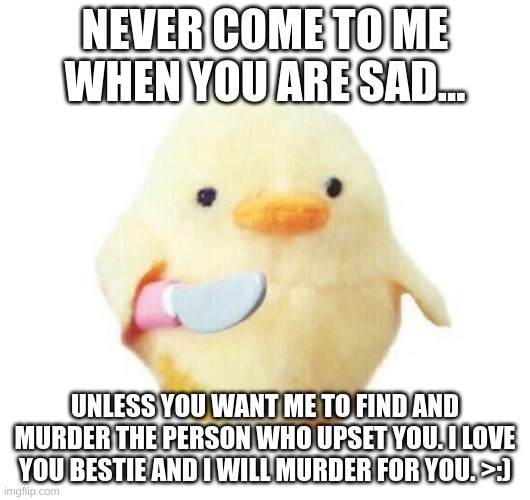 NEVER hurt mah bestie | NEVER COME TO ME WHEN YOU ARE SAD... UNLESS YOU WANT ME TO FIND AND MURDER THE PERSON WHO UPSET YOU. I LOVE YOU BESTIE AND I WILL MURDER FOR YOU. >:) | image tagged in duck with knife | made w/ Imgflip meme maker
