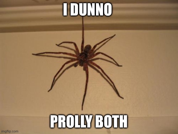 Scumbag Spider | I DUNNO PROLLY BOTH | image tagged in scumbag spider | made w/ Imgflip meme maker