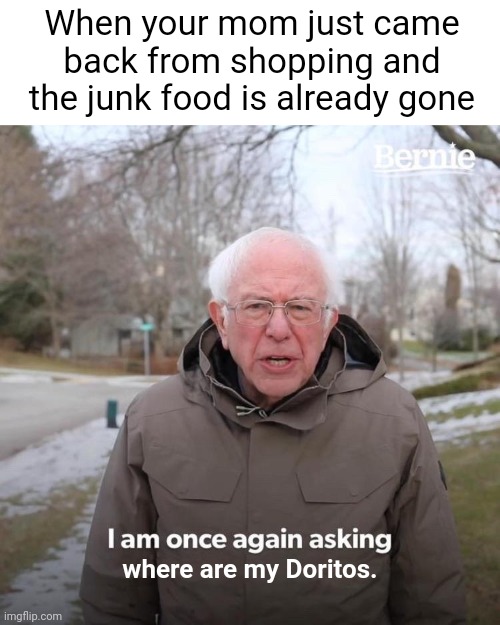 I bet it was my brother... | When your mom just came back from shopping and the junk food is already gone; where are my Doritos. | image tagged in memes,bernie i am once again asking for your support,funny | made w/ Imgflip meme maker