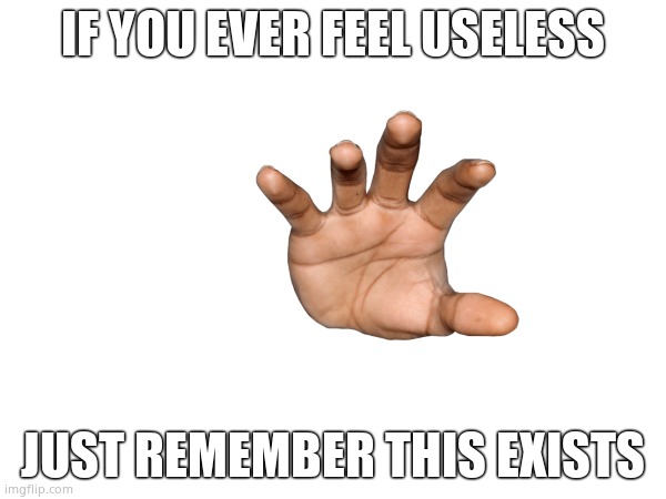 Random meme 1 | IF YOU EVER FEEL USELESS; JUST REMEMBER THIS EXISTS | made w/ Imgflip meme maker