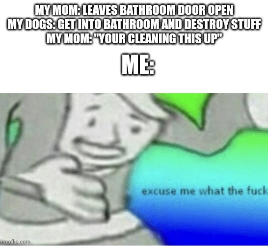 Why | MY MOM: LEAVES BATHROOM DOOR OPEN
MY DOGS: GET INTO BATHROOM AND DESTROY STUFF
MY MOM: "YOUR CLEANING THIS UP"; ME: | image tagged in excuse me wtf blank template | made w/ Imgflip meme maker