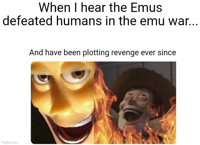 Those bloody Emus will pay for what they did!!! | When I hear the Emus defeated humans in the emu war... And have been plotting revenge ever since | image tagged in satanic woody | made w/ Imgflip meme maker