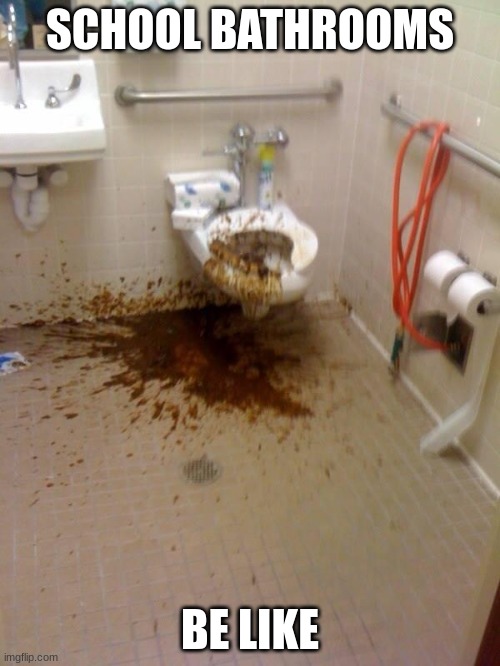 rip custodian's sanity | SCHOOL BATHROOMS; BE LIKE | image tagged in gross | made w/ Imgflip meme maker