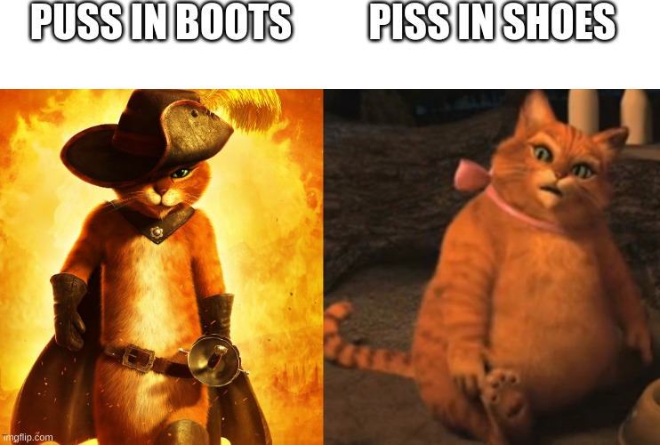PUSS IN BOOTS; PISS IN SHOES | image tagged in puss in boots,piss,boots,shoes,shrek,death | made w/ Imgflip meme maker