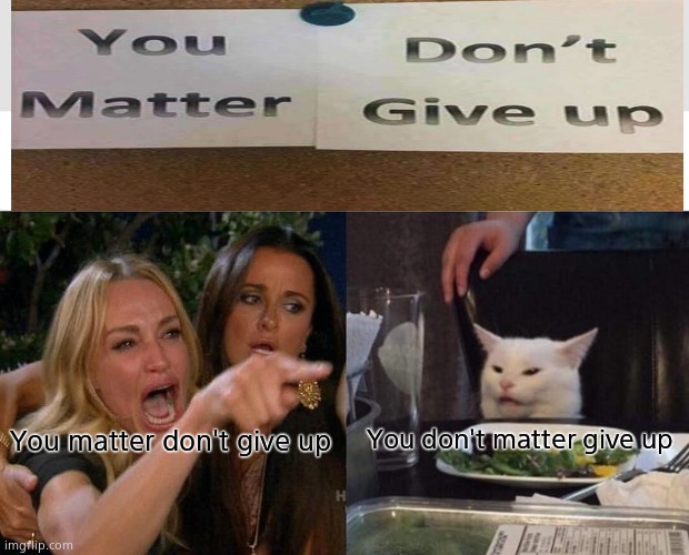 Woman Yelling At Cat | You don't matter give up; You matter don't give up | image tagged in memes,woman yelling at cat | made w/ Imgflip meme maker