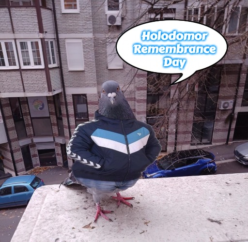 pigeon slavic pigeon | Holodomor
Remembrance
Day | image tagged in pigeon slavic pigeon,holodomor remembrance day,holodomor,slavic | made w/ Imgflip meme maker
