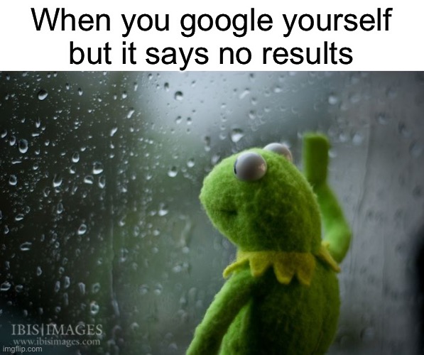 :( | When you google yourself but it says no results | image tagged in kermit window,sad kermit,memes,funny | made w/ Imgflip meme maker