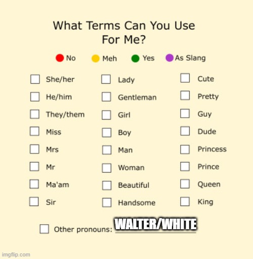 e | WALTER/WHITE | image tagged in pronouns sheet | made w/ Imgflip meme maker
