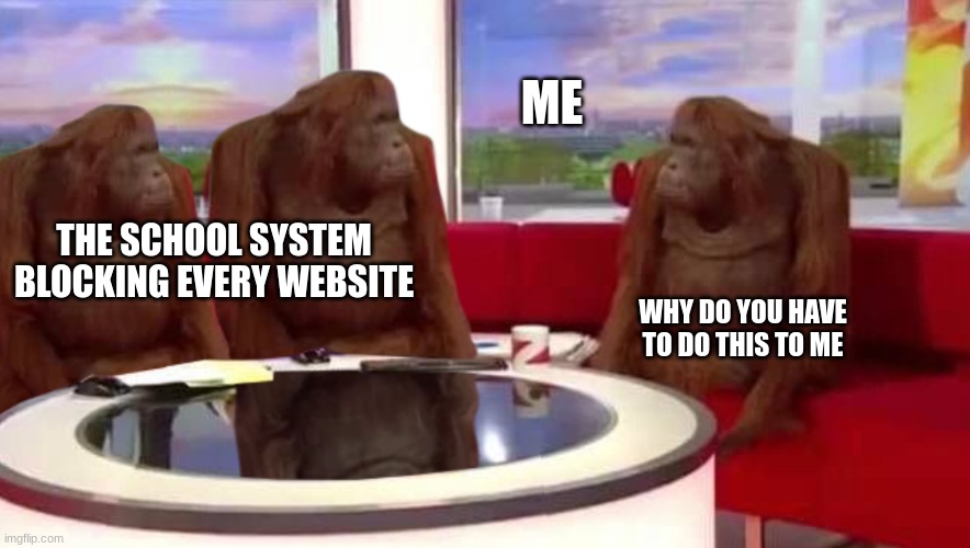 :( sad | ME; THE SCHOOL SYSTEM BLOCKING EVERY WEBSITE; WHY DO YOU HAVE TO DO THIS TO ME | image tagged in where monkey | made w/ Imgflip meme maker