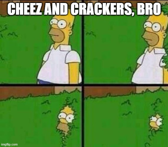 Homer Simpson in Bush - Large | CHEEZ AND CRACKERS, BRO | image tagged in homer simpson in bush - large | made w/ Imgflip meme maker