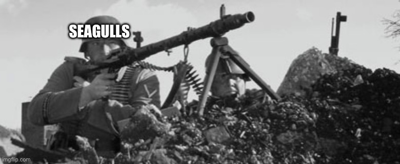 MG-34 | SEAGULLS | image tagged in mg-34 | made w/ Imgflip meme maker