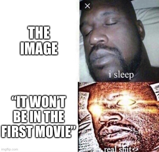 i sleep real shit | THE IMAGE “IT WON’T BE IN THE FIRST MOVIE” | image tagged in i sleep real shit | made w/ Imgflip meme maker