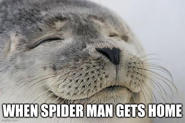 Satisfied Seal Meme | WHEN SPIDER MAN GETS HOME | image tagged in memes,satisfied seal | made w/ Imgflip meme maker