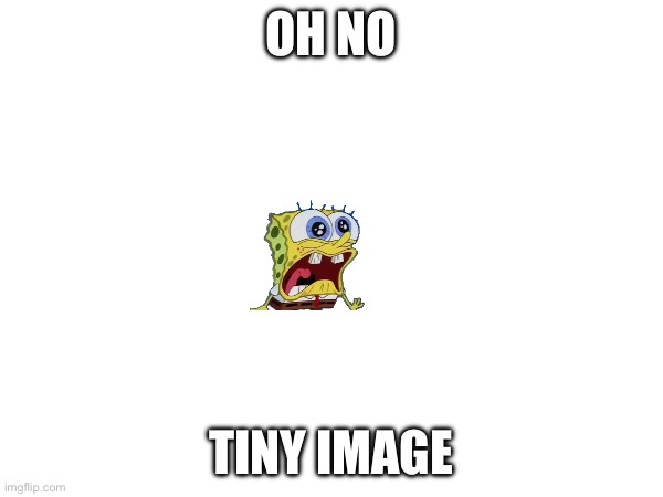 OH NO TINY IMAGE | made w/ Imgflip meme maker