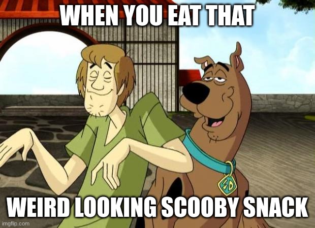 Scooby Doo | WHEN YOU EAT THAT; WEIRD LOOKING SCOOBY SNACK | image tagged in memes | made w/ Imgflip meme maker