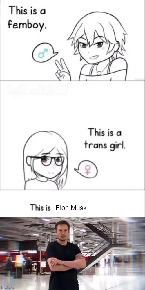 Elon Musk | made w/ Imgflip meme maker