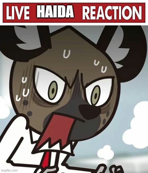HAIDA | image tagged in live x reaction,haida is freaking out | made w/ Imgflip meme maker