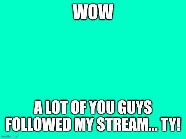 Ty | WOW; A LOT OF YOU GUYS FOLLOWED MY STREAM... TY! | made w/ Imgflip meme maker