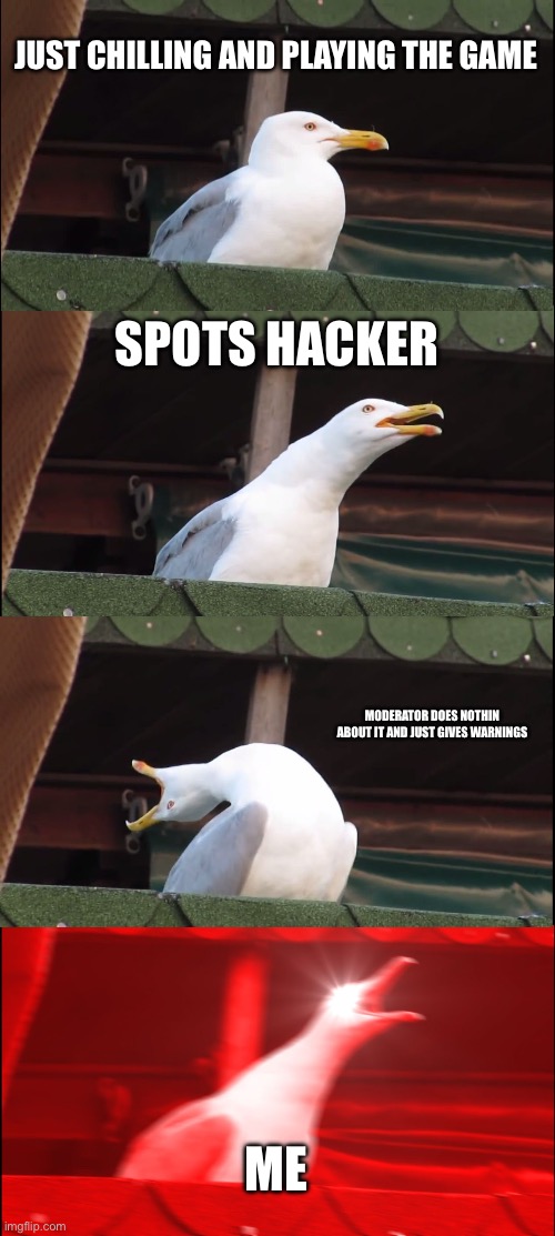 Inhaling Seagull | JUST CHILLING AND PLAYING THE GAME; SPOTS HACKER; MODERATOR DOES NOTHIN ABOUT IT AND JUST GIVES WARNINGS; ME | image tagged in memes,inhaling seagull,hackers | made w/ Imgflip meme maker