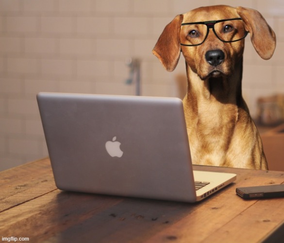 dog apple computer | image tagged in dog apple computer | made w/ Imgflip meme maker