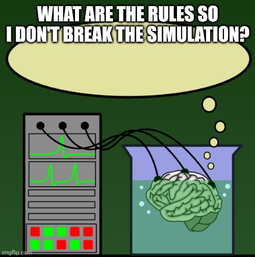 Getting weed at the store | WHAT ARE THE RULES SO I DON'T BREAK THE SIMULATION? | image tagged in are we living in a simulation | made w/ Imgflip meme maker