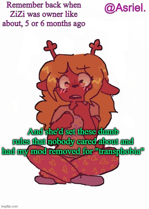 Rather silly times | Remember back when ZiZi was owner like about, 5 or 6 months ago; And she'd set these dumb rules that nobody cared about and had my mod removed for "transphobia" | image tagged in asriel's other noelle temp | made w/ Imgflip meme maker