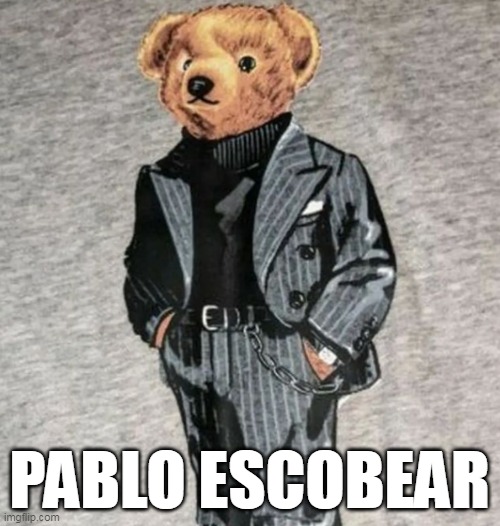 Pablo Escobear | PABLO ESCOBEAR | image tagged in sad pablo escobar,bear,bad luck bear | made w/ Imgflip meme maker