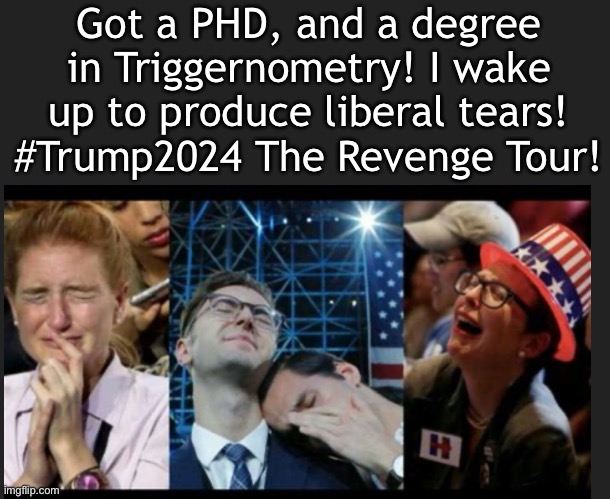 Liberal Tears | Got a PHD, and a degree in Triggernometry! I wake up to produce liberal tears! #Trump2024 The Revenge Tour! | made w/ Imgflip meme maker