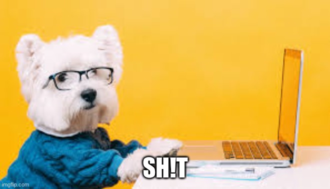 Dog When | SH!T | image tagged in dog when | made w/ Imgflip meme maker