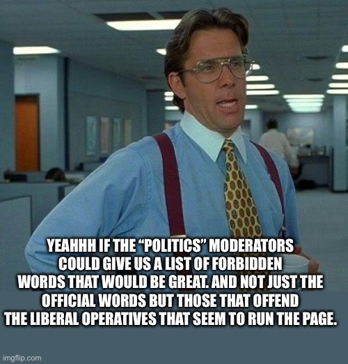 yep | YEAHHH IF THE “POLITICS” MODERATORS COULD GIVE US A LIST OF FORBIDDEN WORDS THAT WOULD BE GREAT. AND NOT JUST THE OFFICIAL WORDS BUT THOSE THAT OFFEND THE LIBERAL OPERATIVES THAT SEEM TO RUN THE PAGE. | image tagged in memes,that would be great | made w/ Imgflip meme maker
