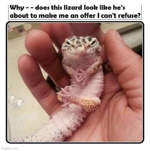 Cute tbh | image tagged in repost | made w/ Imgflip meme maker