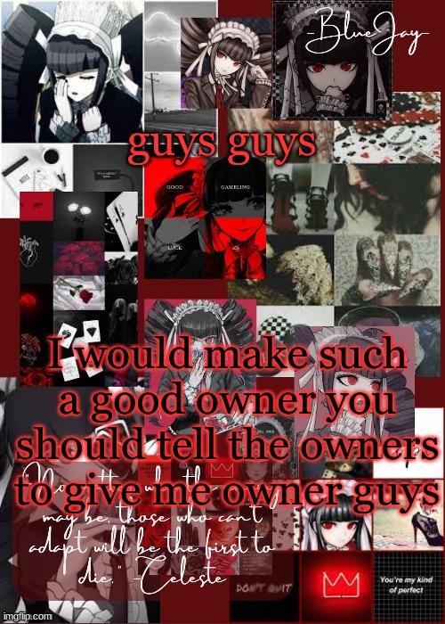 /j (If I'm elected as owner, I will legalize murder!!!) | guys guys; I would make such a good owner you should tell the owners to give me owner guys | image tagged in jaiden celeste temp | made w/ Imgflip meme maker