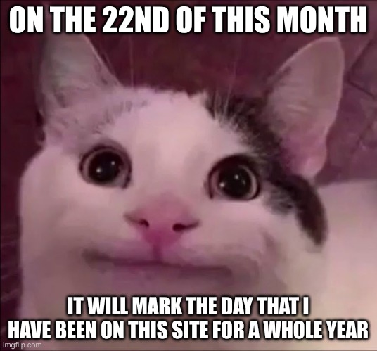 yay... i guess .-. | ON THE 22ND OF THIS MONTH; IT WILL MARK THE DAY THAT I HAVE BEEN ON THIS SITE FOR A WHOLE YEAR | image tagged in awkward smile cat | made w/ Imgflip meme maker