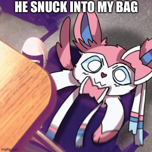 little shit (affectionate) | HE SNUCK INTO MY BAG | image tagged in sylveon snuck into my bag | made w/ Imgflip meme maker