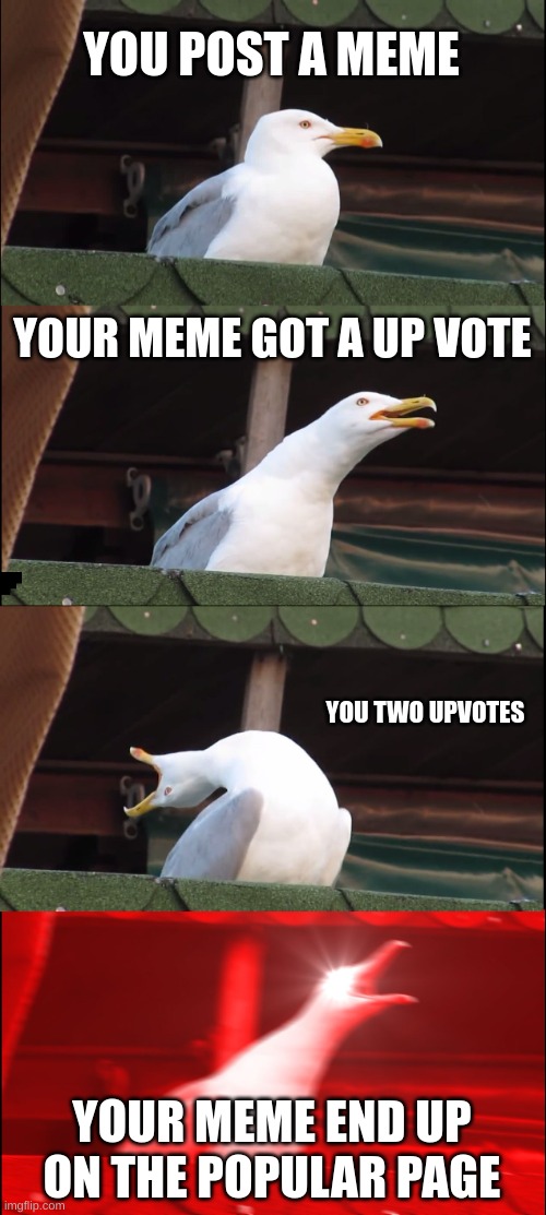 wooooow | YOU POST A MEME; YOUR MEME GOT A UP VOTE; YOU TWO UPVOTES; YOUR MEME END UP ON THE POPULAR PAGE | image tagged in memes,inhaling seagull | made w/ Imgflip meme maker