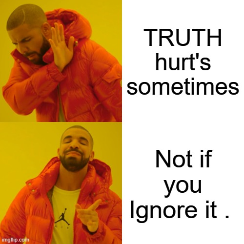 DEMrats are great at that. | TRUTH hurt's sometimes; Not if you Ignore it . | image tagged in memes,democrats,nwo | made w/ Imgflip meme maker