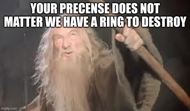 gandolf | YOUR PRESENCE DOES NOT MATTER WE HAVE A RING TO DESTROY | image tagged in gandolf | made w/ Imgflip meme maker