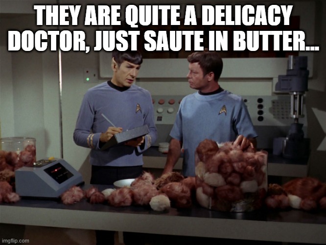 Tribble Fricase | THEY ARE QUITE A DELICACY DOCTOR, JUST SAUTE IN BUTTER... | image tagged in spock vs tribble 02 | made w/ Imgflip meme maker