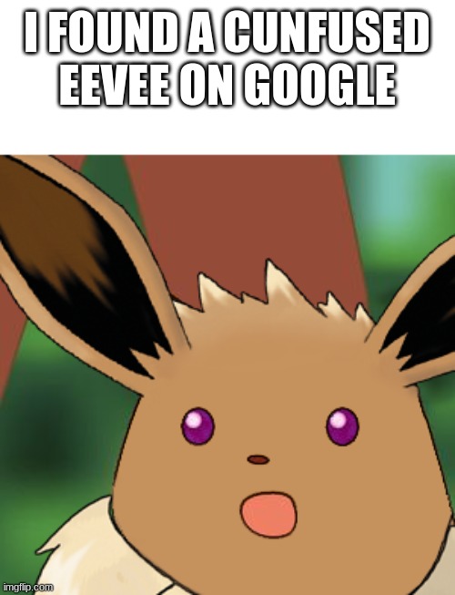 Confused eeve | I FOUND A CUNFUSED EEVEE ON GOOGLE | image tagged in confused eevee | made w/ Imgflip meme maker