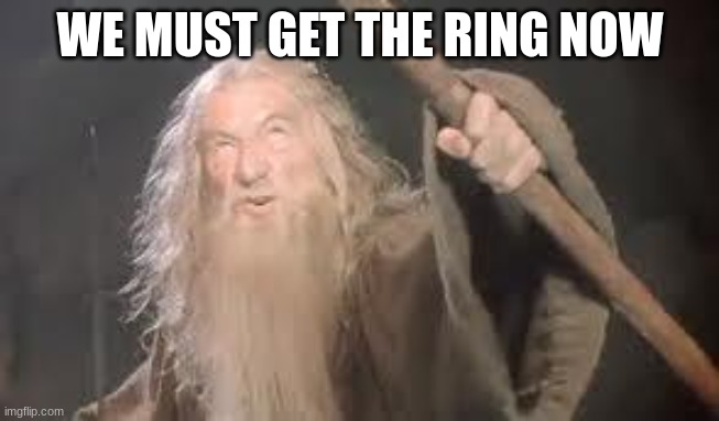 gandolf | WE MUST GET THE RING NOW | image tagged in gandolf | made w/ Imgflip meme maker