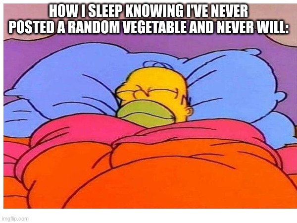 I swear it | HOW I SLEEP KNOWING I'VE NEVER POSTED A RANDOM VEGETABLE AND NEVER WILL: | image tagged in homer simpson | made w/ Imgflip meme maker