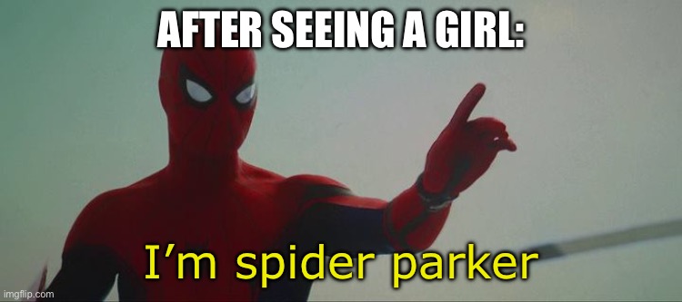 I'm Spider-Man | AFTER SEEING A GIRL: I’m spider parker | image tagged in i'm spider-man | made w/ Imgflip meme maker