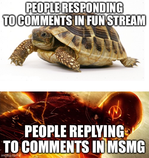 And no i dont use fun stream | PEOPLE RESPONDING TO COMMENTS IN FUN STREAM; PEOPLE REPLYING TO COMMENTS IN MSMG | image tagged in slow vs fast meme,hi,why are you reading the tags | made w/ Imgflip meme maker