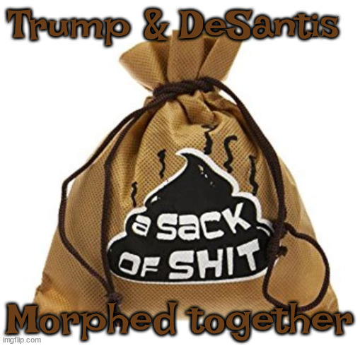 Trump & DeSantis together... | Trump & DeSantis; Morphed together | image tagged in donald trump,ron desantis,sack of shit,maga,florida,fasicsts | made w/ Imgflip meme maker