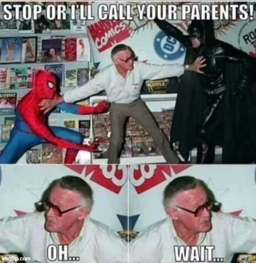 Whoops Stan | image tagged in spiderman,batman | made w/ Imgflip meme maker