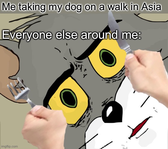 What the dog doin | Me taking my dog on a walk in Asia; Everyone else around me: | image tagged in memes,unsettled tom,asian,dog,food | made w/ Imgflip meme maker