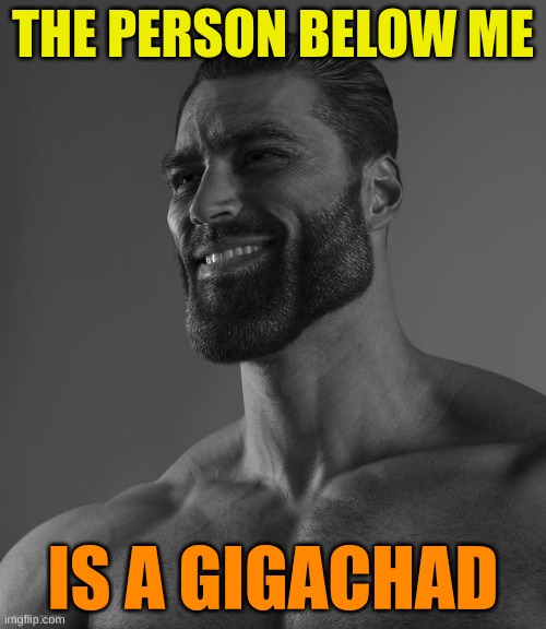 nice job thunderpug! | THE PERSON BELOW ME; IS A GIGACHAD | image tagged in giga chad | made w/ Imgflip meme maker
