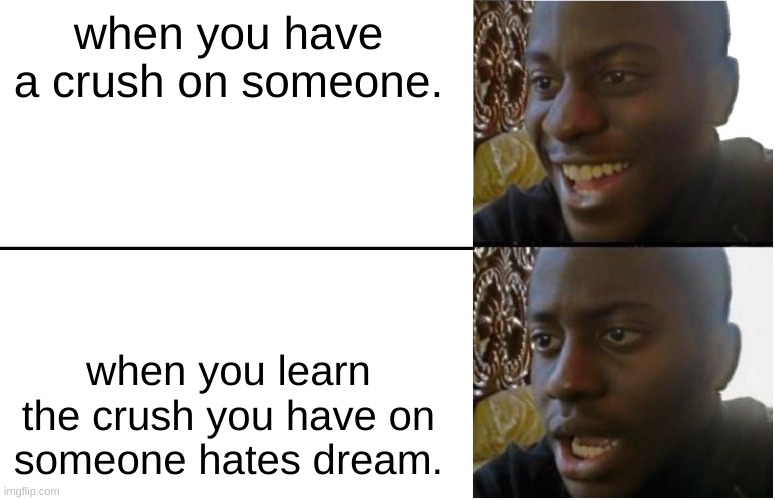 when you meet someone who hates dream. | when you have a crush on someone. when you learn the crush you have on someone hates dream. | image tagged in disappointed black guy | made w/ Imgflip meme maker